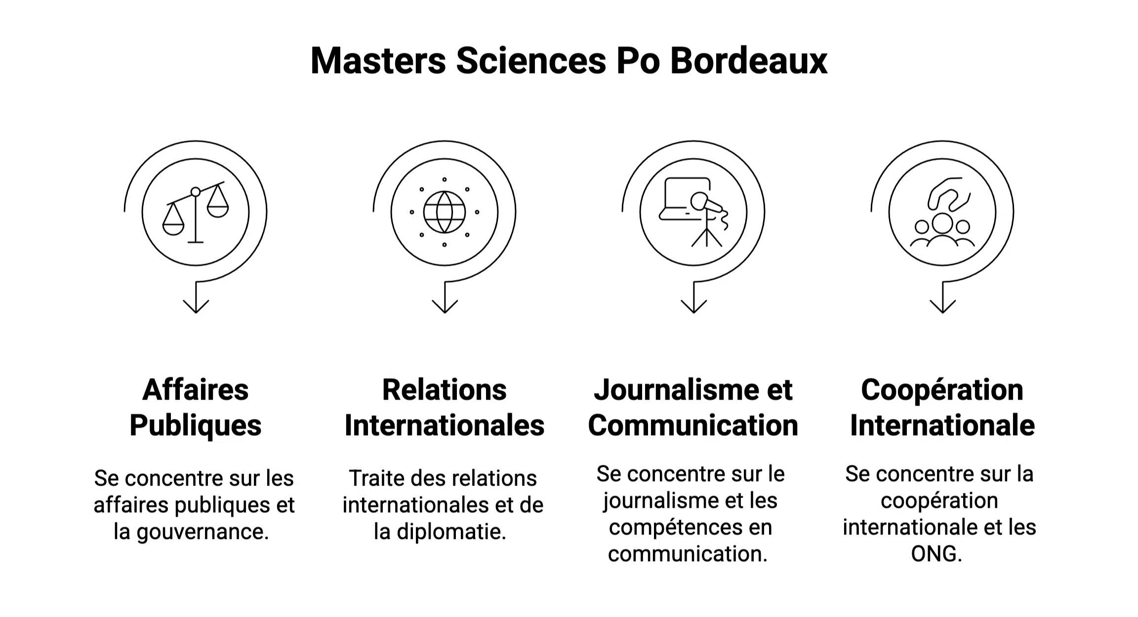 masters IEP bordeaux