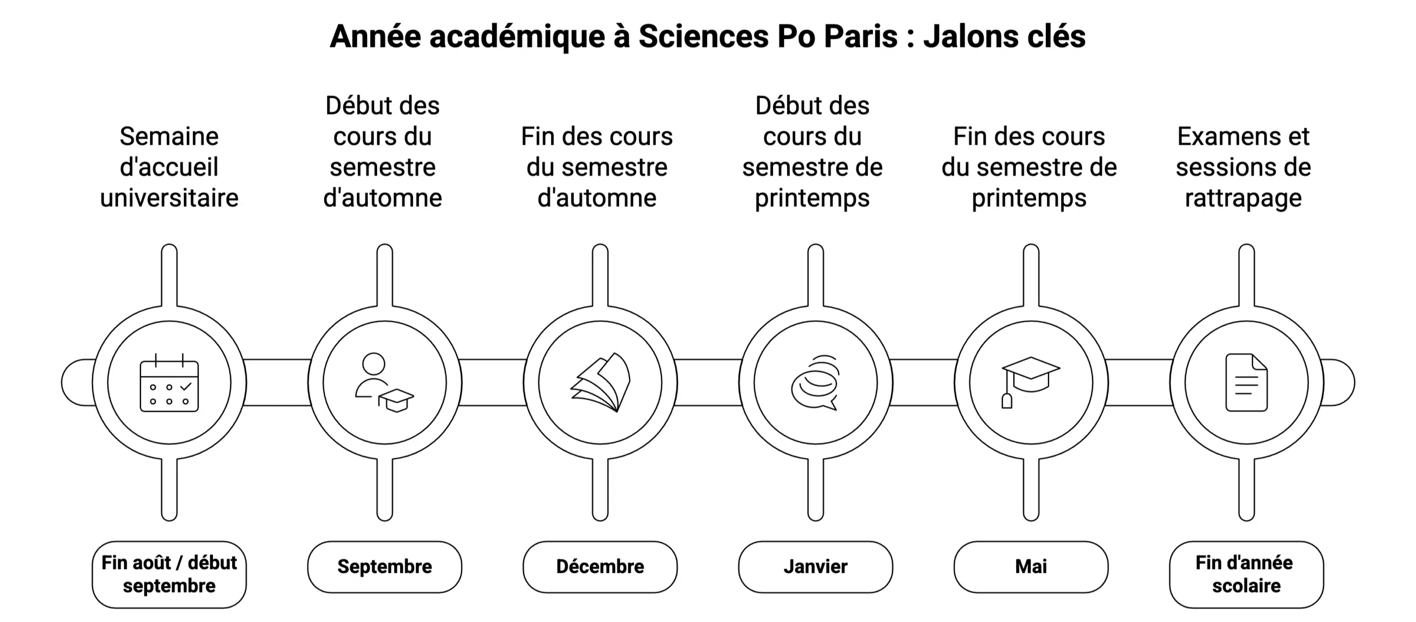 Structure d’une année type à Sciences Po Paris
