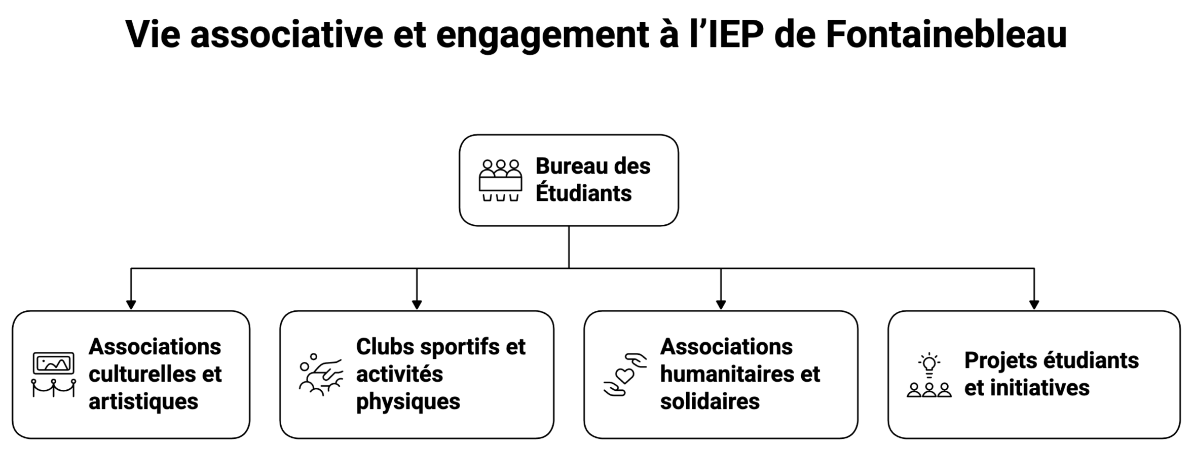 Vie associative et engagement à l’IEP de Fontainebleau
