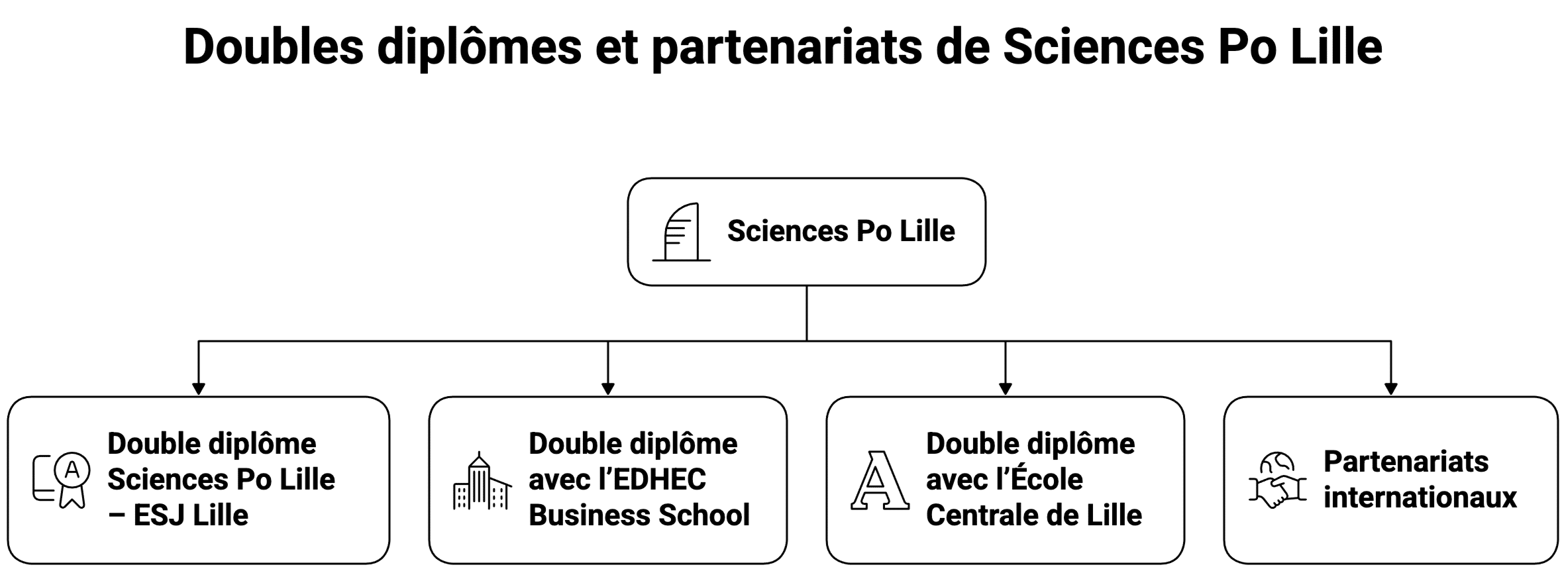 Doubles diplômes de Sciences Po Lille