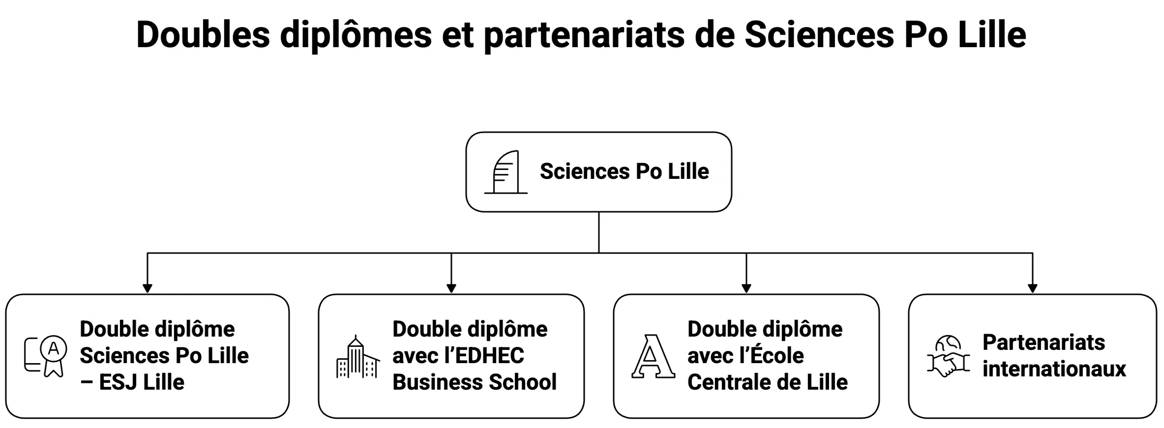 Doubles diplômes de Sciences Po Lille