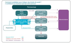 Organisation de l’accès aux études de santé et modalités de candidatures